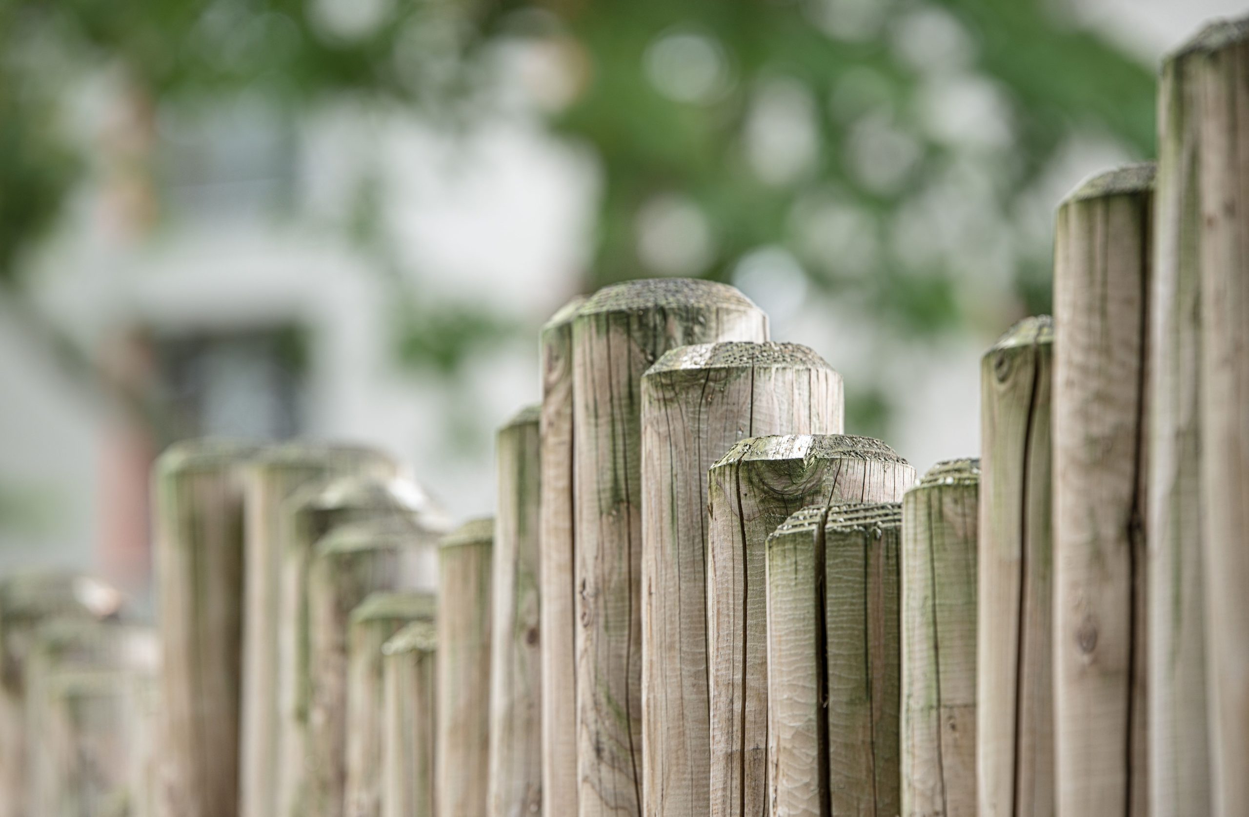 Gros plan texture clôture bois naturelle